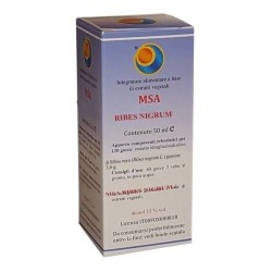 Msa Ribes Nigrum 50 Ml