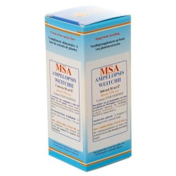 Msa Ampelopsis Weitc 50 Ml