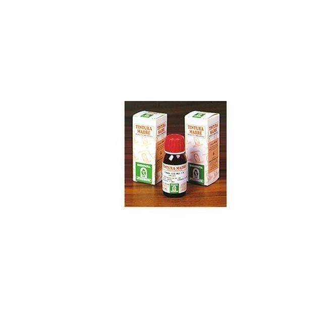 Pilosella 20 50ml Tm