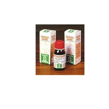 Pilosella 20 50ml Tm