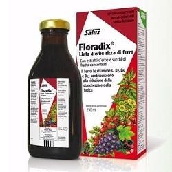 Floradix Ferro E Vitamine 250 Ml