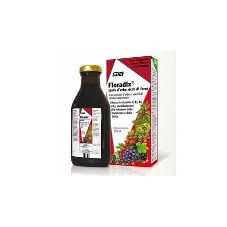 Floradix Ferro E Vitamine 250 Ml