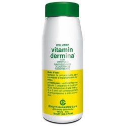 Vitamindermina Polvere Ment 100 G