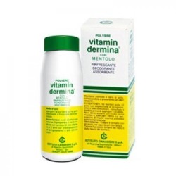 Vitamindermina Polvere Ment 100 G Vitamindermina Polvere Ment 100 G