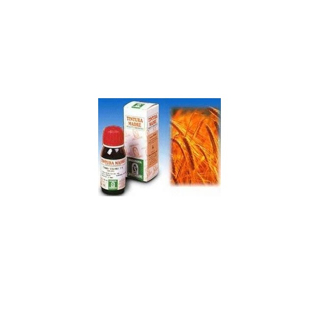 Avena Sativa 3 50ml Tm Avena Sativa 3 50ml Tm
