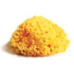 Spugna Naturale Mediterranea Laboratori Atenei 16