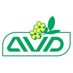 A. V. D. Reform