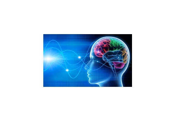 Cosa aiuta veramente la memoria?