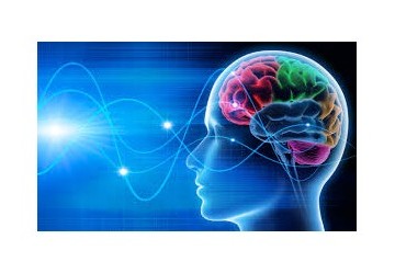 Cosa aiuta veramente la memoria?